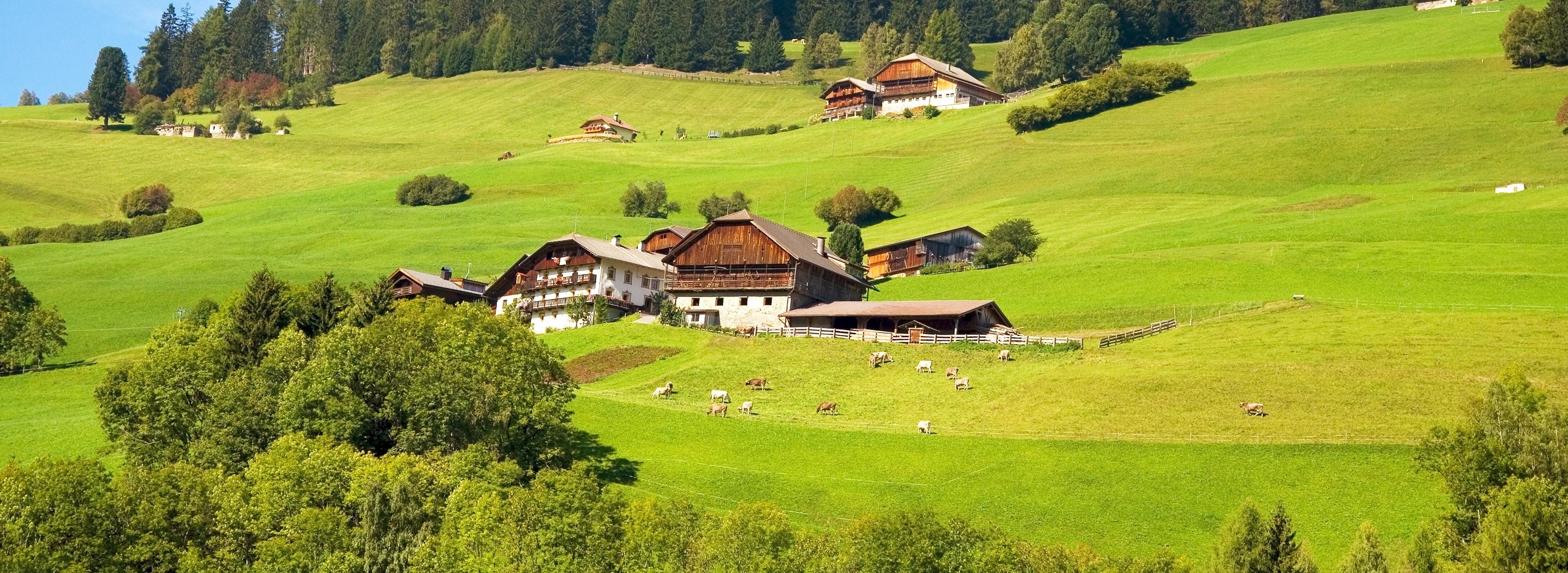 Bauernhfe mit aktiver Landwirtschaft