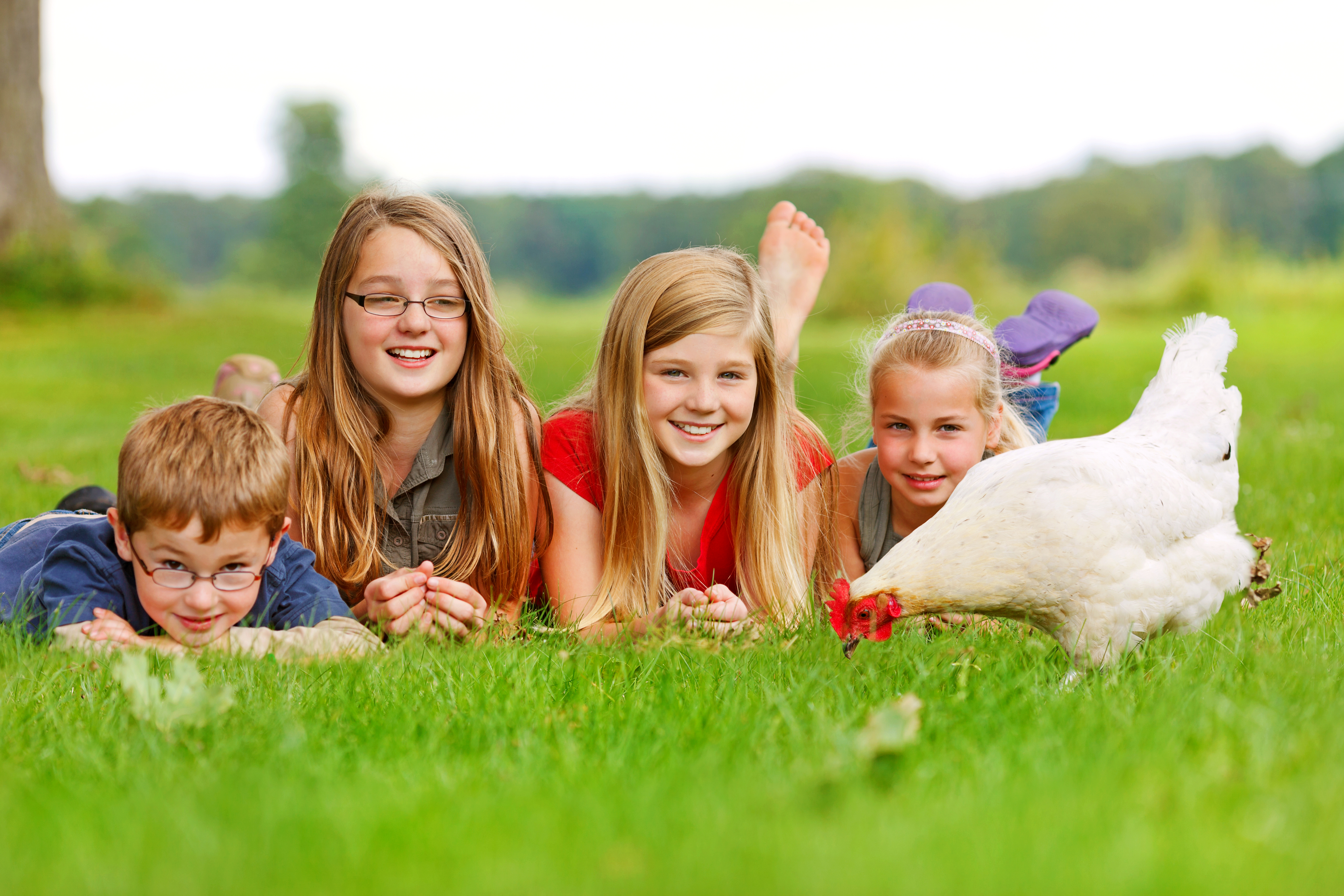 Ferienhfe fr Familien mit Kindern