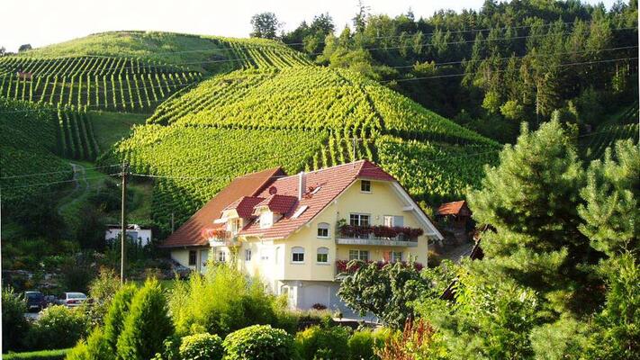 Winzerhof Mayer
