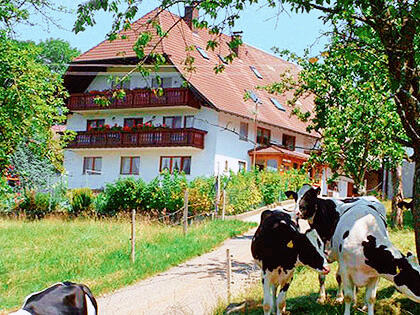 Bauernhof ID 242