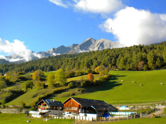 Biobauernhof Veidlerhof