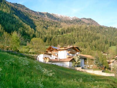 Zingerlehof