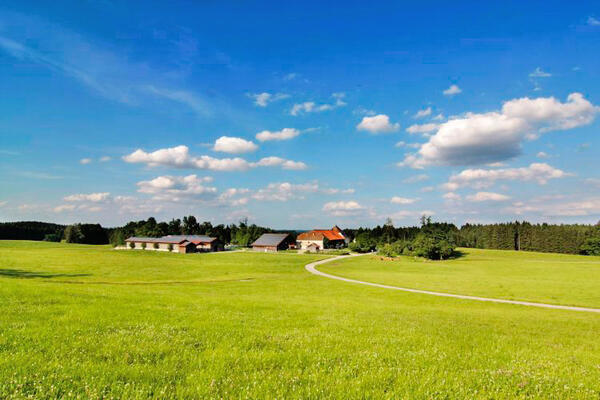 Ferienhof Gut Grasleiten