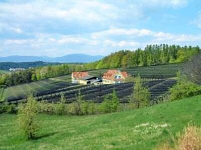 Apfelhof Kober