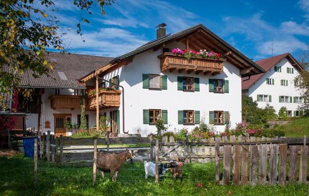 Bauernhof Scholz Bauernhof Scholz