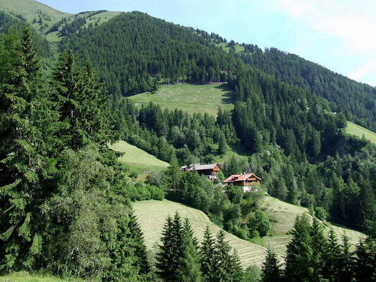 Walderhof