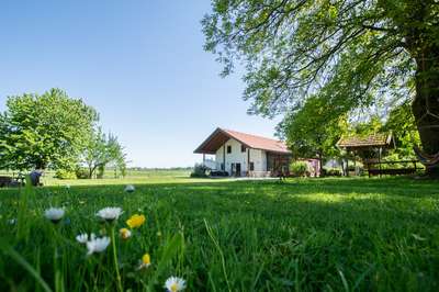 Sonnenblumenhof