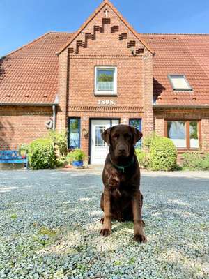Ferienhof Kluvetasch Ferienhof Kluvetasch