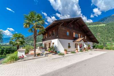 Bauernhof ID 433 Bauernhof ID 433