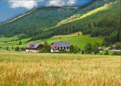 Bio-Bauernhof Gut Neusess