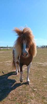 Erlebnisreitstation Bad Doberan