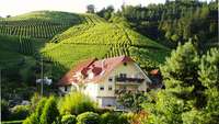 Winzerhof Mayer