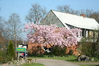 Ferienhof Lohse